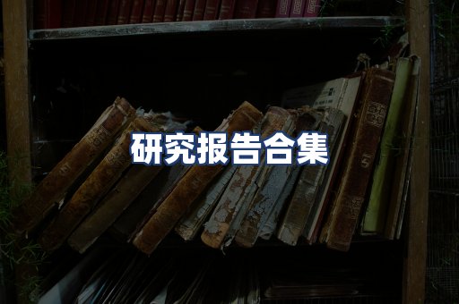 研究报告合集